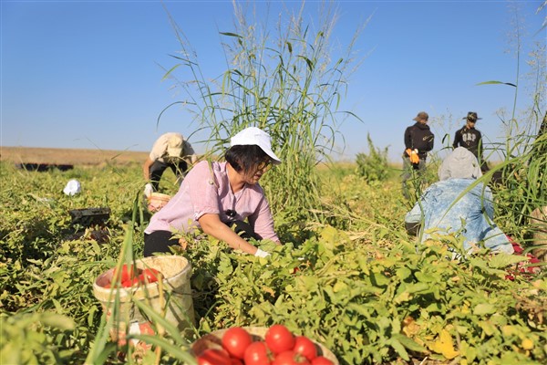 Başkan Sincar’dan tarım işçilerine ziyaret