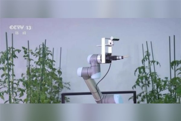 Çin, “Geair” adlı polinasyon robotunu tanıttı