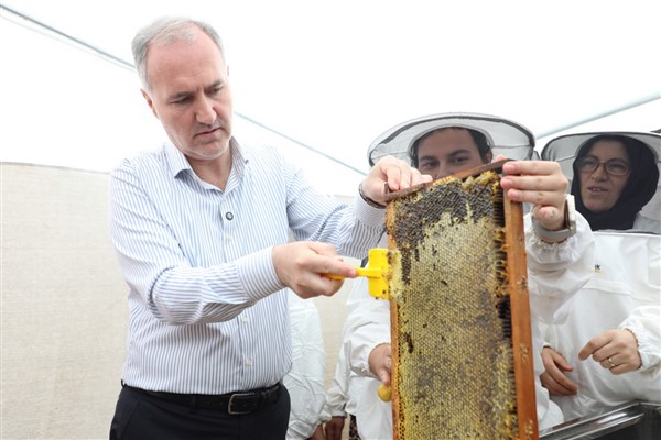İnegöl’de bal üretimi