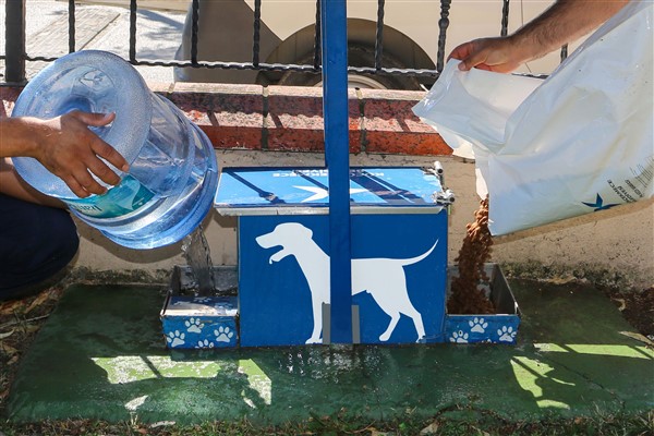 Küçükçekmece Belediyesi’nden sokak hayvanlarına mama ve su desteği