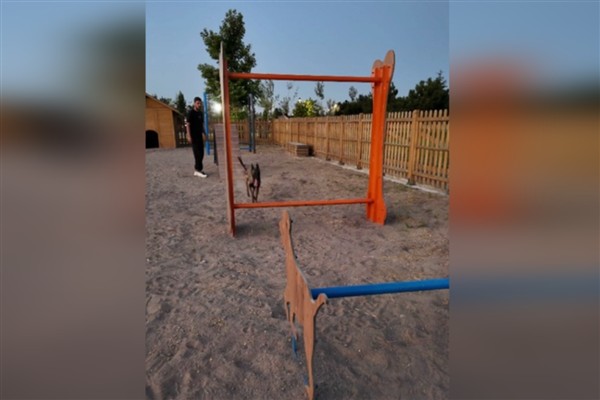 Köpek sahiplerinden Kayseri’deki eğitim parkuruna ilgi