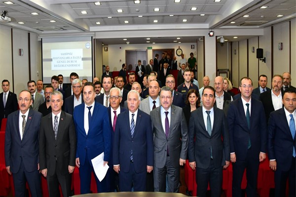 Trabzon’da sahipsiz hayvanları korumak için yeni adımlar atılıyor