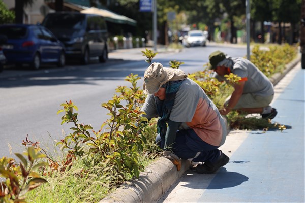 Marmaris Belediyesi’nden çevre düzenleme çalışmaları