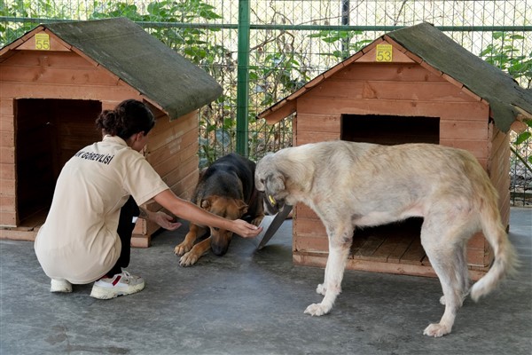 Çukurova Beledıyesı’nden can dostlara destek