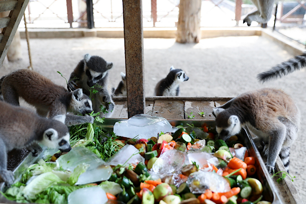 Tarsus Doğa Parkı’nda sıcak hava önlemleri