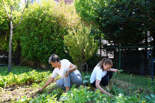 Maltepe’nin hobi bahçelerinde hasat zamanı