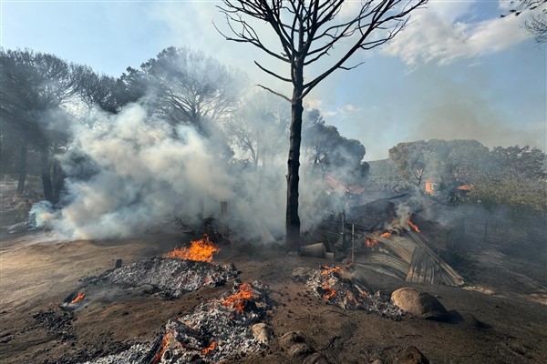 İzmir İtfaiyesi, Bergama’da alevlerle mücadele ediyor