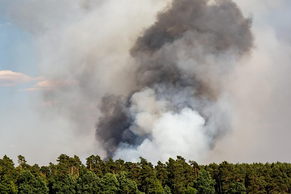 Gelibolu’daki orman yangınına müdahale sürüyor