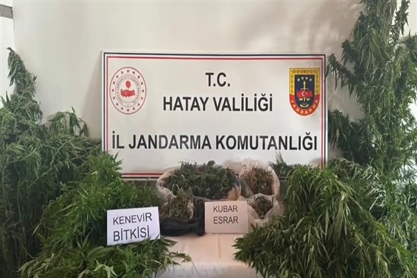 Hatay İl Jandarma Komutanlığı’ndan uyuşturucu operasyonu