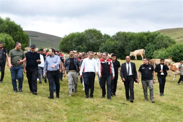 Ardahan’da şap hastalığına karşı inceleme ve bilgilendirme çalışması yapıldı