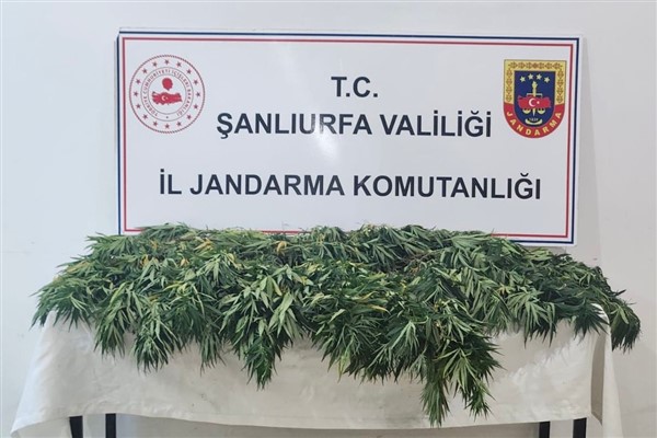 Şanlıurfa’da uyuşturucu operasyonu: 2 gözaltı