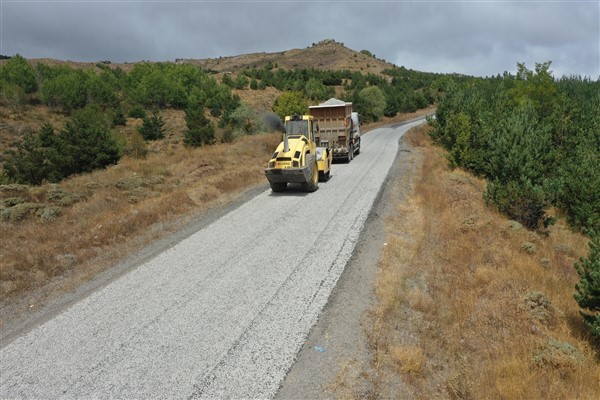Ordu’da yol asfaltlama çalışmaları sürüyor