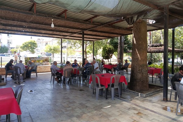 Muğla’da zeytin üreticilerine yönelik eğitimler sürüyor