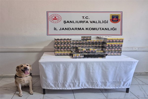 Şanlıurfa’da tütün ve alkol kaçakçılarına yönelik çalışmalar gerçekleştirildi