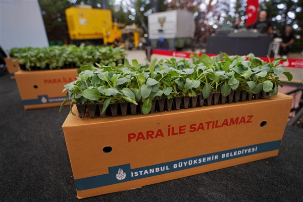 İBB’den çiftçilere 5 yılda 70 milyon fide desteği