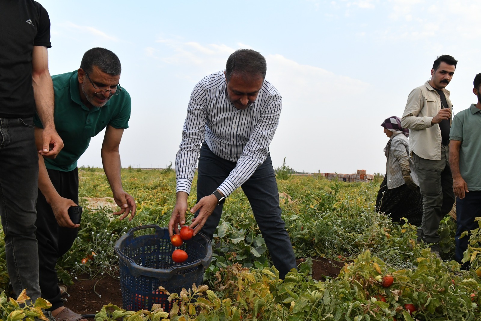 Vali Şıldak, Siverek’te incelemelerde bulundu
