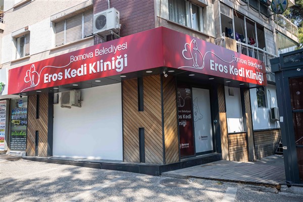 Büyükpark’taki kedi kliniği, Eros Kedi Kliniği adıyla yeni yerine taşınıyor