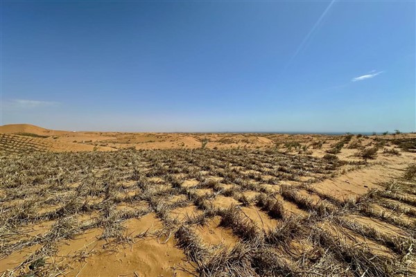 Shapotou’dan Taklamakan’a: Çin’in çölleşmeyle mücadelesi dünyaya ilham veriyor