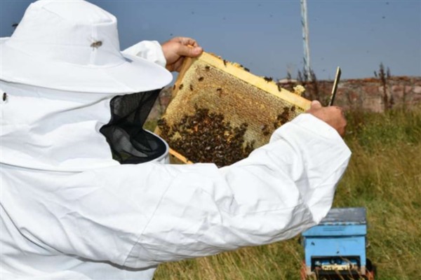 Ardahan’da coğrafi işaretli çiçek balında hasat başladı