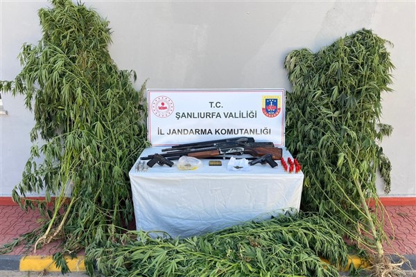 Şanlıurfa’da uyuşturucu operasyonu