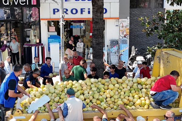 Düzce Belediyesi’nden 5 ton yerli kavun dağıtımı