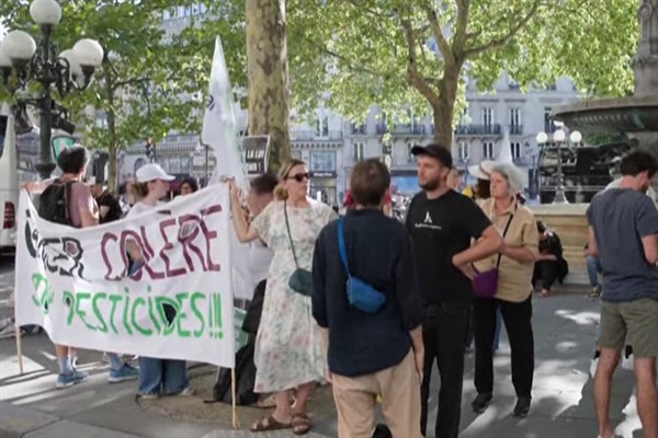 Fransız mahkemesi, yasaklı pestisitin tekrardan kullanıma sokulmasını engelledi