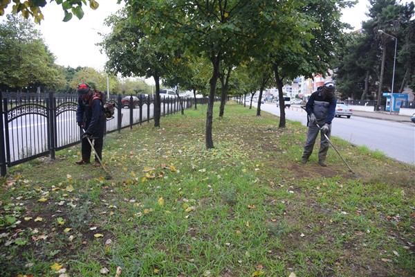 Giresun’da yabani ot temizliği ve ağaç budama çalışmaları sürüyor