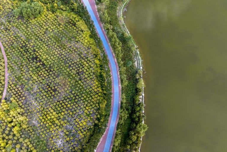 Çin’den sağlıklı çevre için 2025-2030 eylem planı