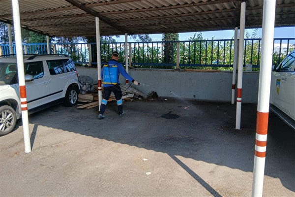 Trabzon Büyükşehir Belediyesi’nden vektör seferberliği