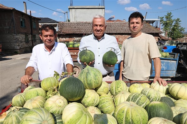 Nilüfer Konaklı’daki kavun üretimi 2 kat arttı