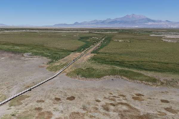 Büyükşehir ve DSİ’den Sultan Sazlığı’na can suyu çalışması