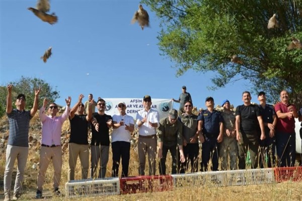 Iğdır Üniversitesi paydaşlığında 10 bin keklik doğaya salınıyor