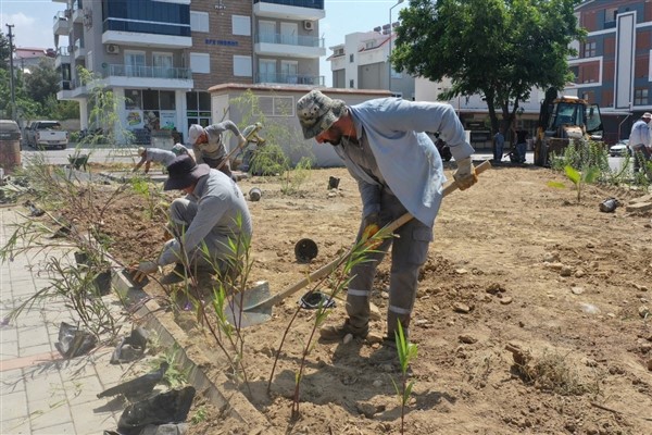 Gazipaşa Belediyesi’nden yeşillendirme çalışmaları