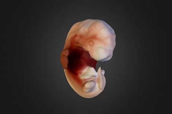 Dünyanın “en yaşlı bebeği” 1994’te dondurulmuş embriyodan doğdu