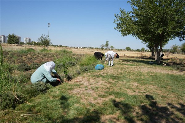 Kayapınar’da kadınlar emeğiyle festival hazırlığında