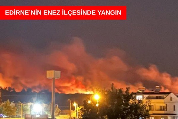 Enez’de alevlerle mücadele sürüyor