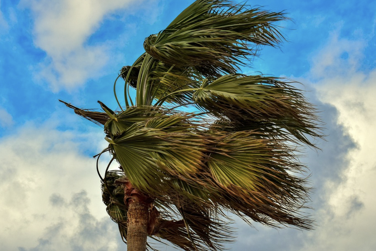 MGM ‘den Marmara’da kuvvetli rüzgar uyarısı