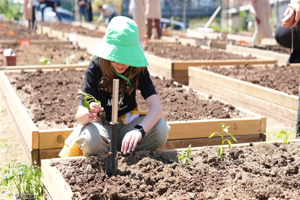 Kadıköy Bostanları’nda kış dönemi için kayıtlar başladı
