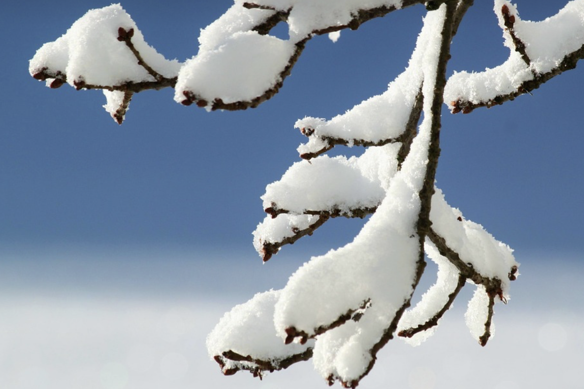 Büyükşehir’den kar mesaisi