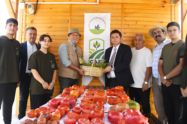 Osmangazi’de ata tohumları hasat edildi