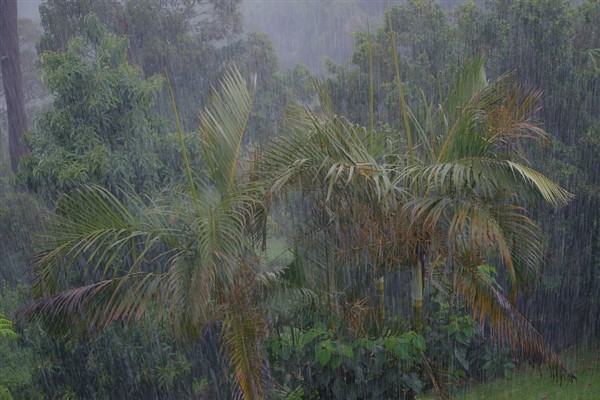 Meteoroloji’den Ankara, Zonguldak ve Doğu Karadeniz için kuvvetli yağış uyarısı