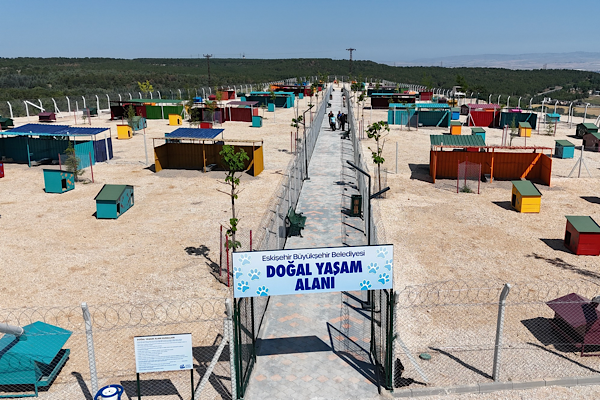 Eskişehir’den sokak hayvanları için bağış kampanyası