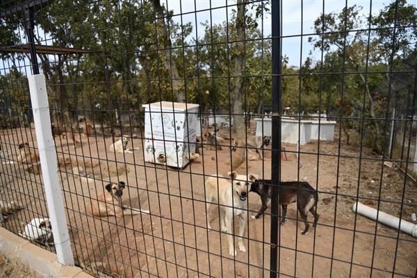 Keşan Belediyesi Sahipsiz Sokak Hayvanları Bakımevi, çalışmalarına devam ediyor