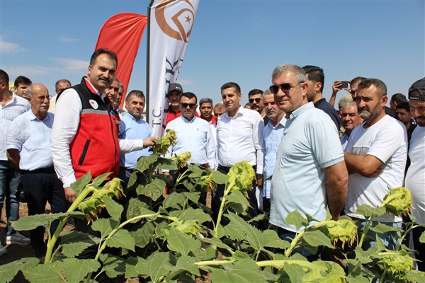 Batman’da “Tarla Günü” etkinliği düzenlendi