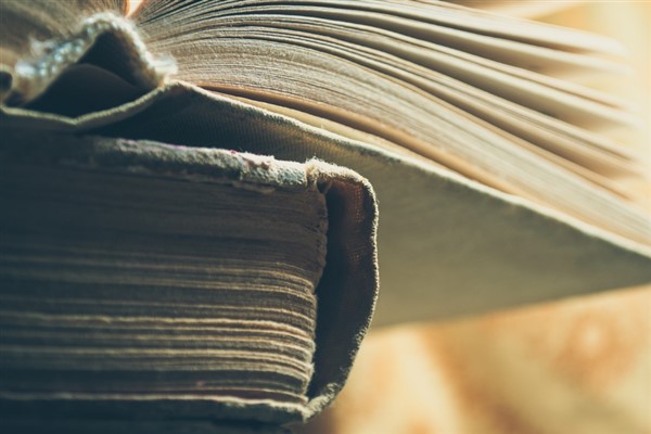 İran’da Farsça Dil ve Edebiyat Günü kutlandı