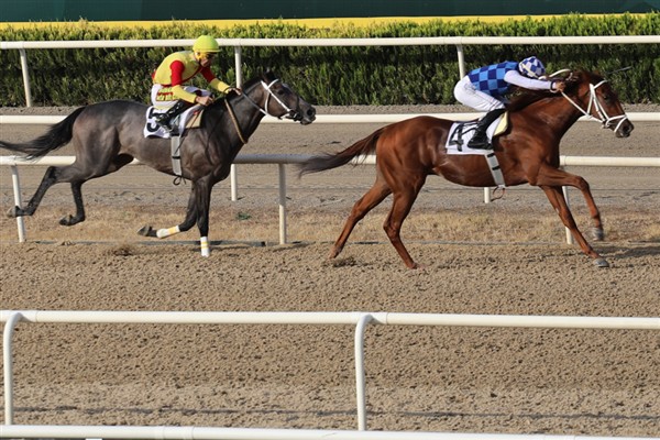 Bursa Büyükşehir Belediye Başkanlığı Koşusu’nu Melero kazandı