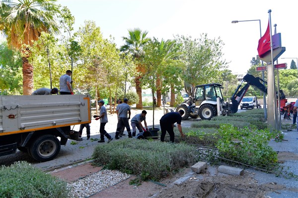Bornova’da Cumhuriyet Meydanı’na sakura ve tarçın ağaçları dikildi