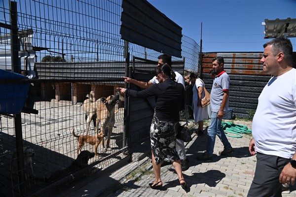 Sokak Hayvanları Komisyonu Kula’da çalışmaları inceledi