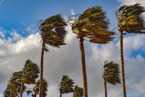 Meteoroloji’den kuvvetli rüzgar uyarısı