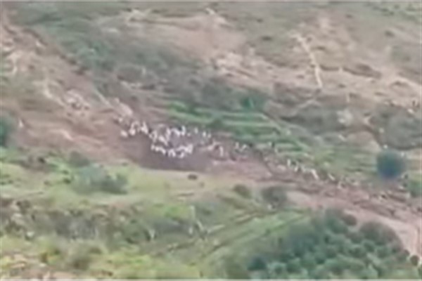 Sudan’daki heyelanda binden fazla kişi hayatını kaybetti